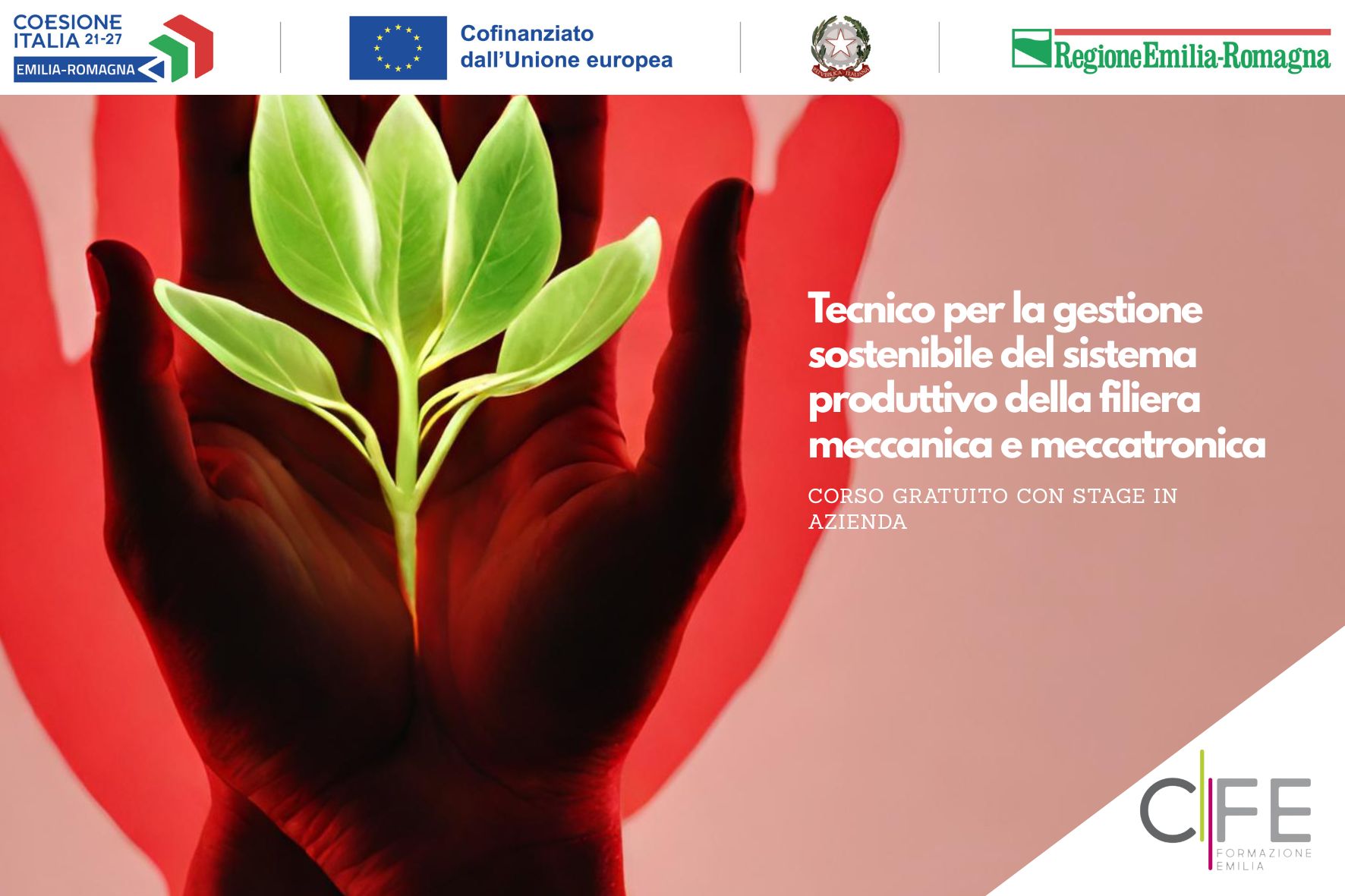 Testata news sito (23).jpg